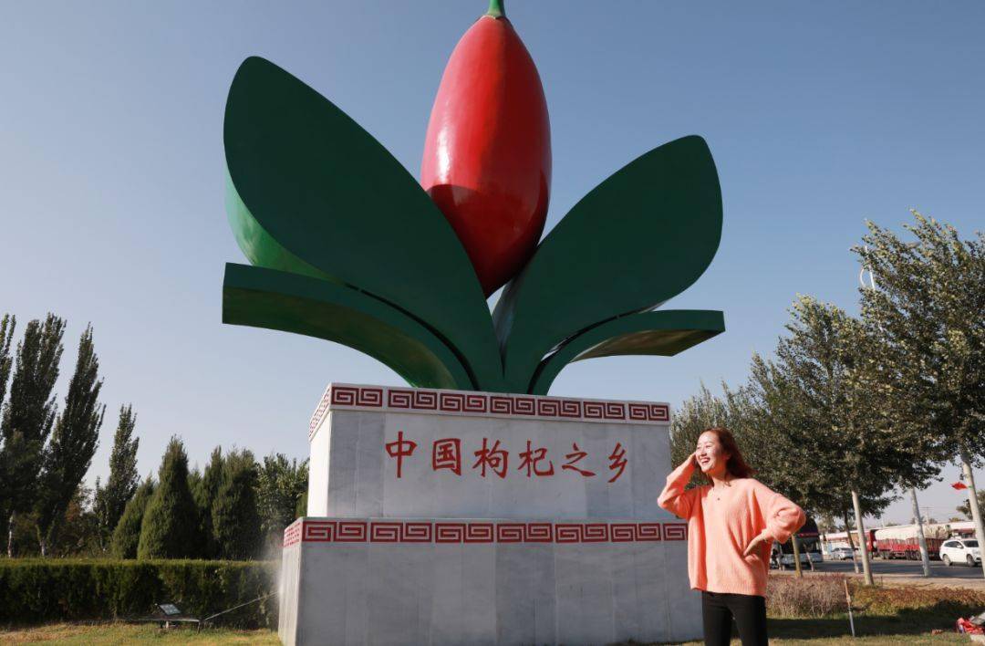 我们选用的枸杞原浆原料便是取自家乡宁夏中宁县,是"中国枸杞之乡"