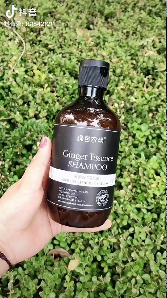 头发越来越少发际线越来越高熬夜油头掉发党看过来这款生姜洗发水你真