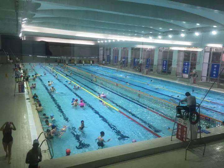 忆说上海人爱游泳