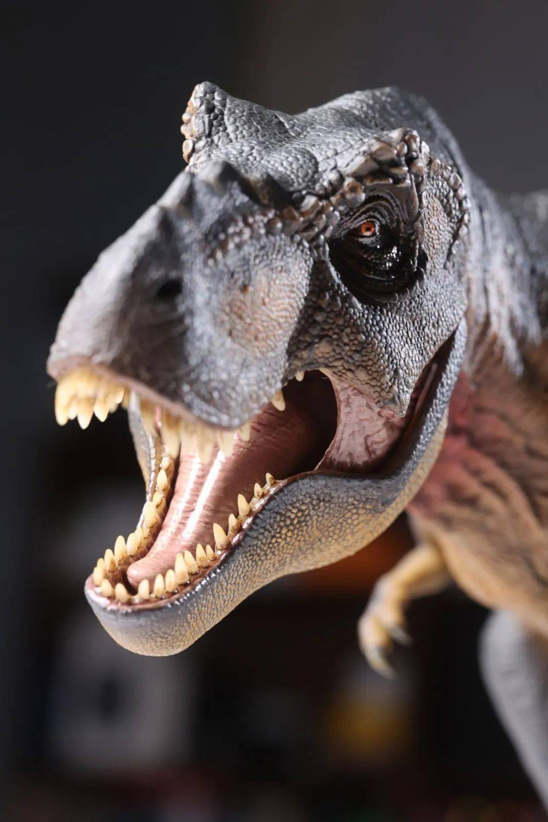 霸王龙出没本心楠改theonceandfutureking永恒之王模型入手