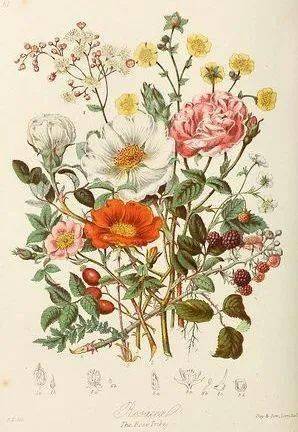 new|What's new | 请查收这份抗老新思路