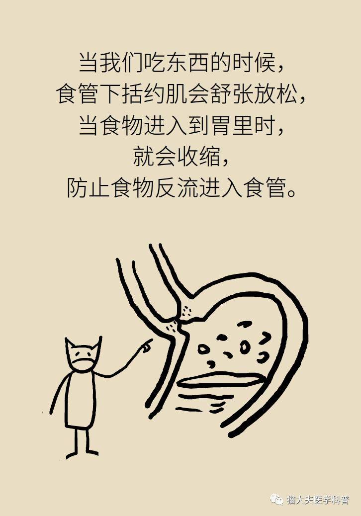 烧心|烧心烧得难受？6个方法可缓解