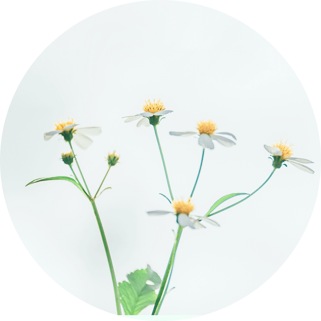 活动|葡韵悠远 回味绵长