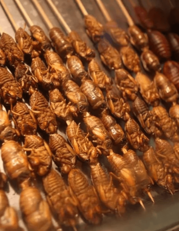 油炸昆虫其实,吃昆虫并不是什么新鲜事.