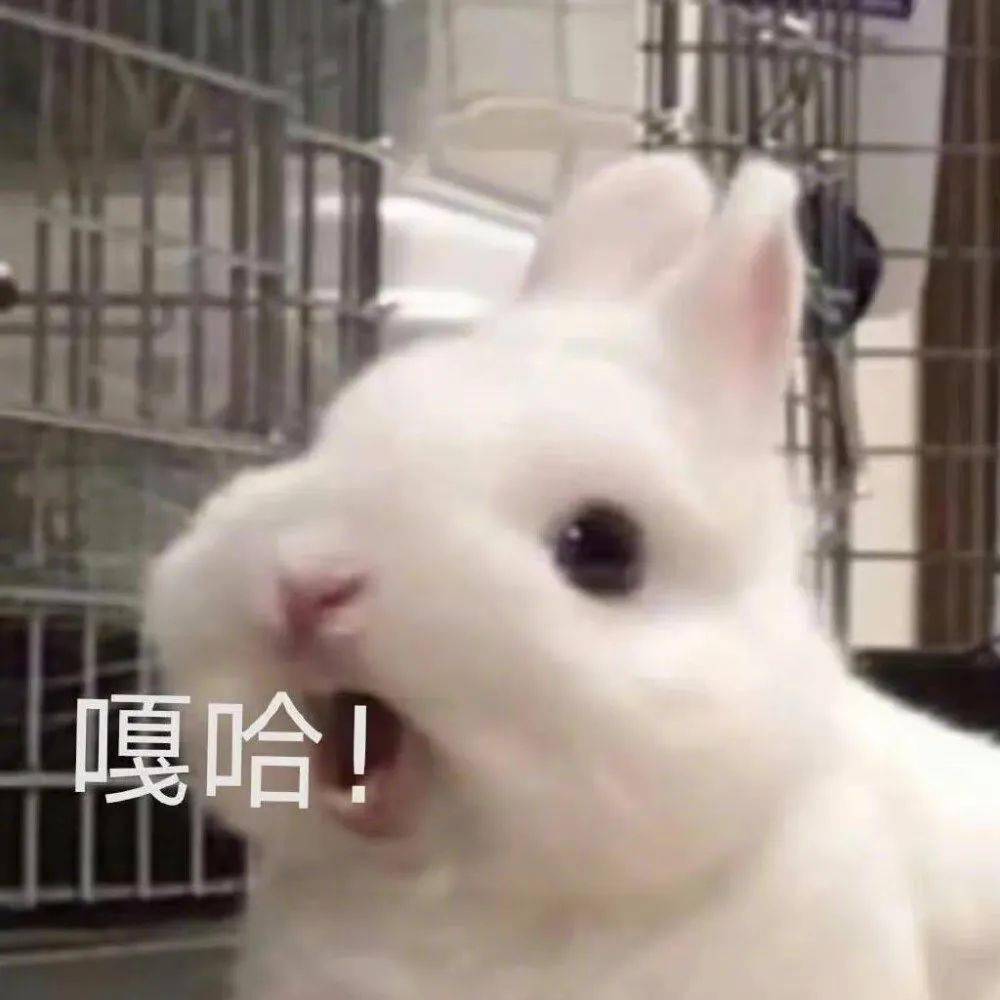 噜噜噜噜啦啦啦啦 3f9f7d1f2a174a88bd7dd7ea038f6e6b.jpeg
