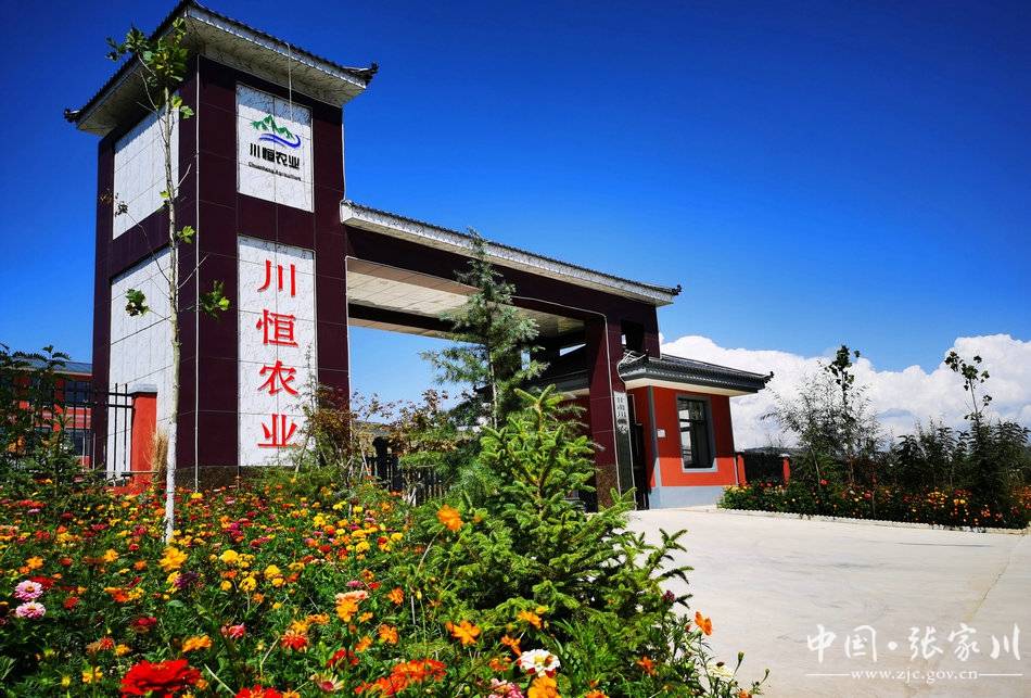 张家川县龙山镇文明创建激活发展新动能