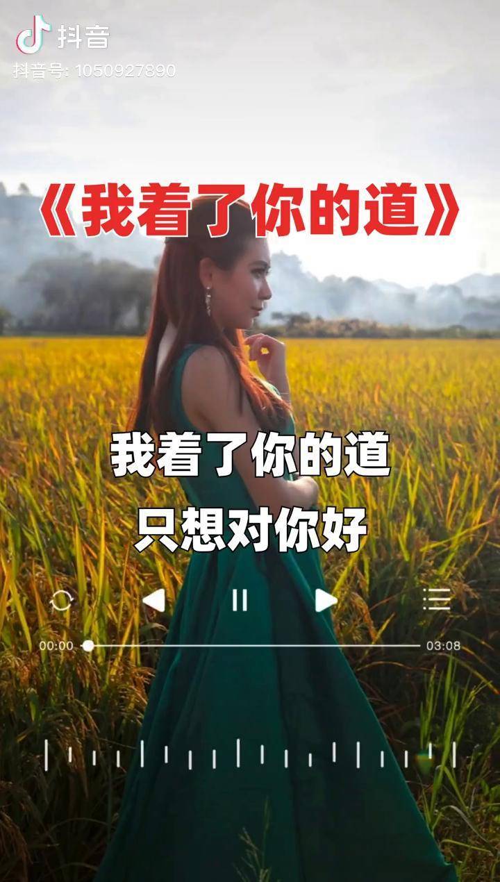 我著了你的道只想對你好魏佳藝情感音樂