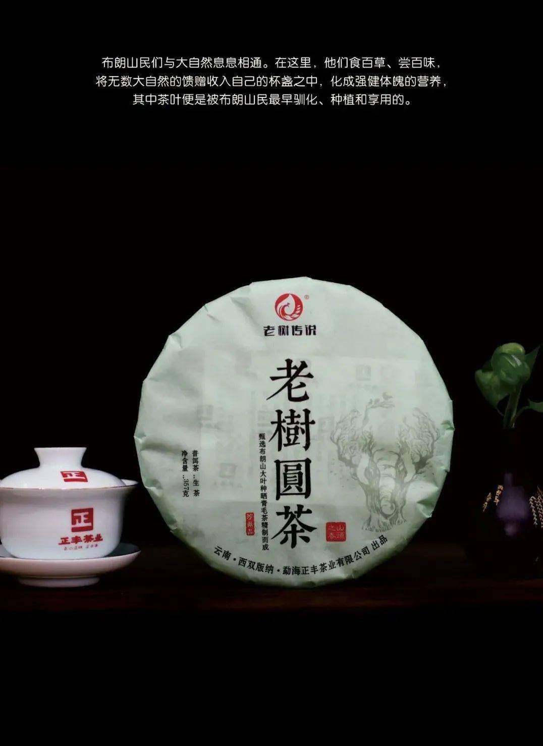 布朗山普洱茶,甜蜜时光里的灵魂伴侣