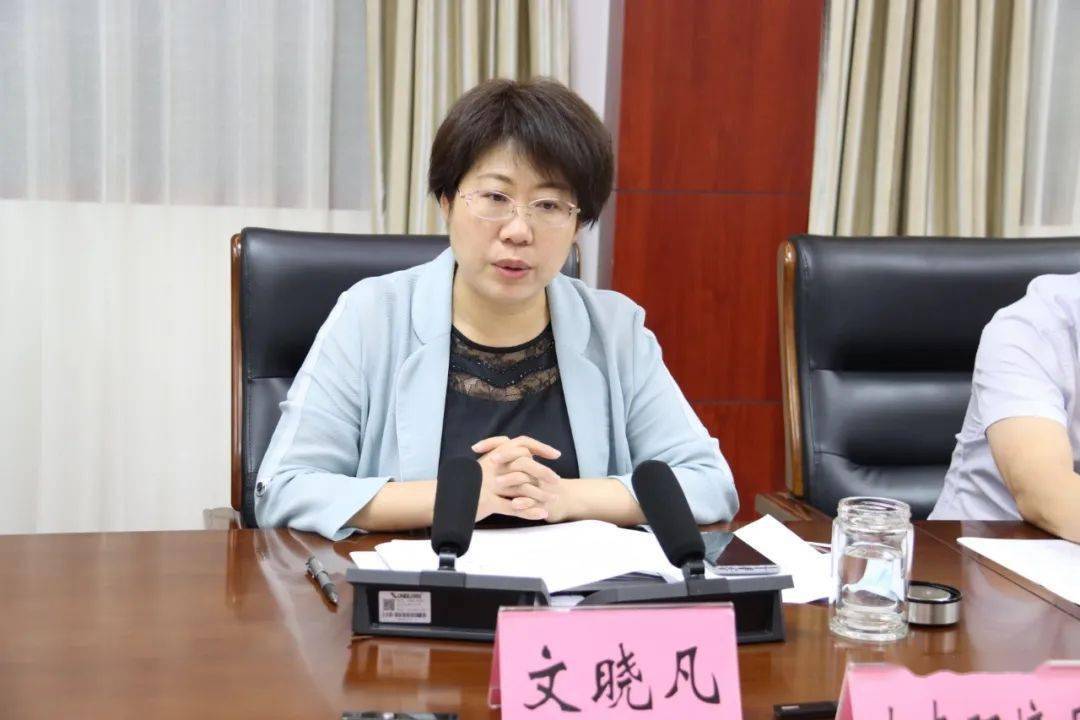 常务副县长胡炜哲,副县长常姣峰,副县长,县公安局局长丁伟,叶县产业