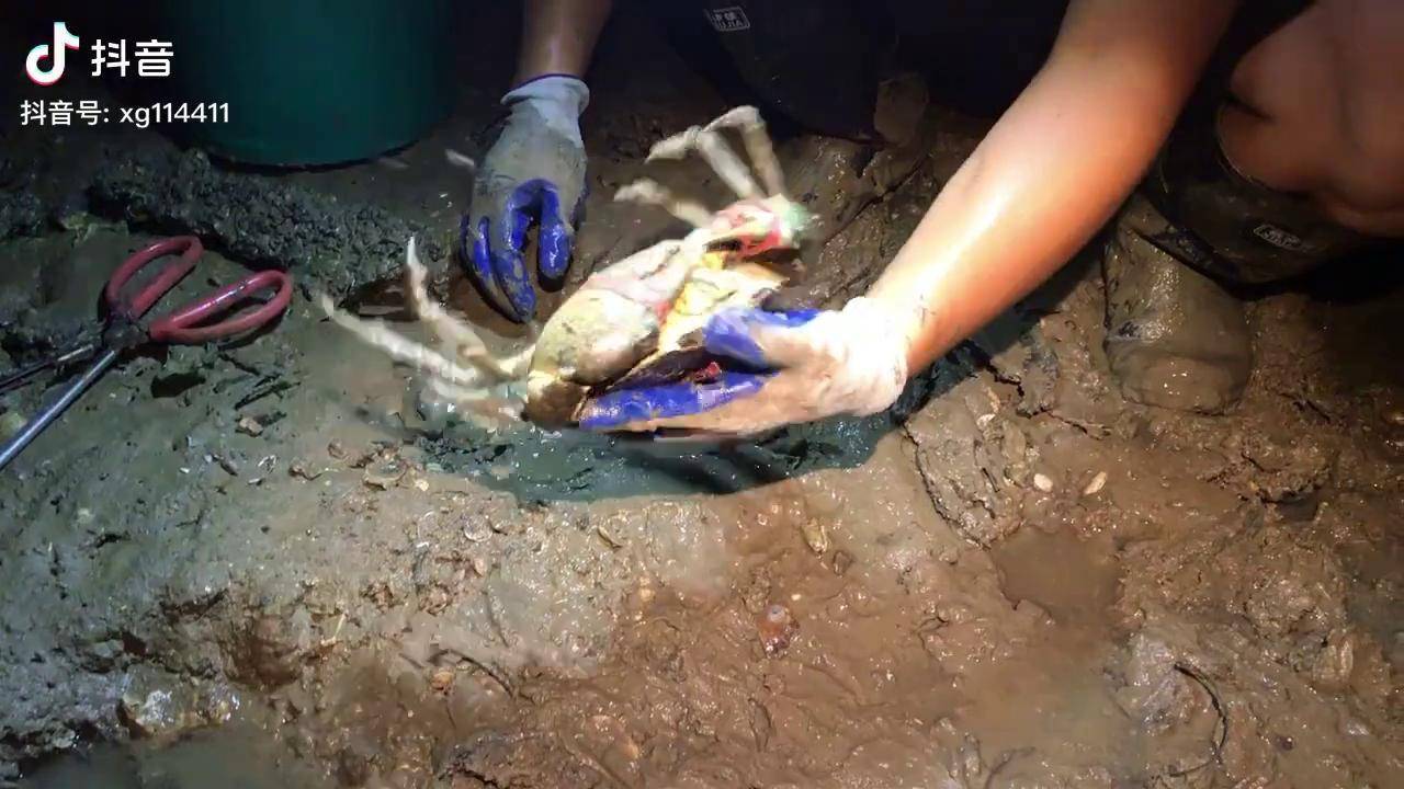 比手掌都要大实在太爽了兴哥赶海抓螃蟹户外