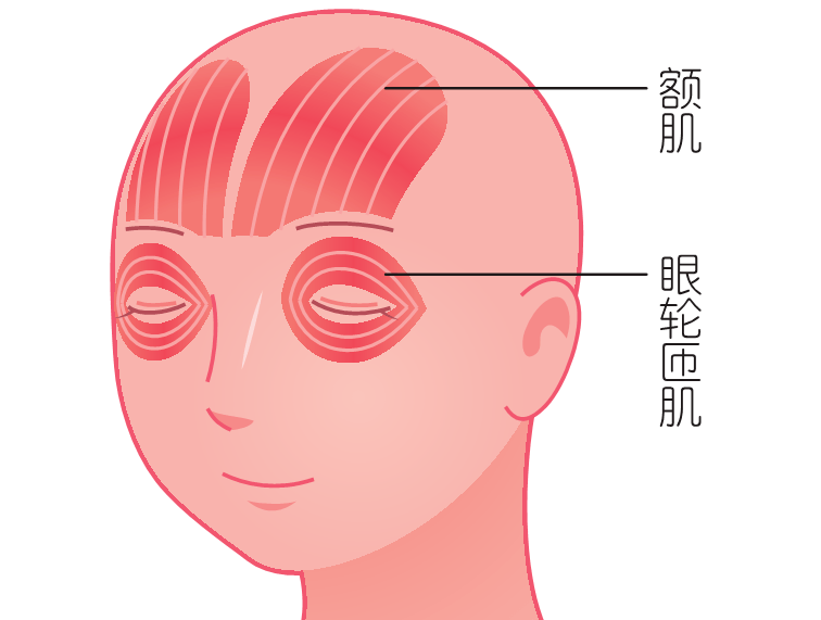 植物|高校发布21级新生“平均脸”，放松「面瘫脸」变小脸！