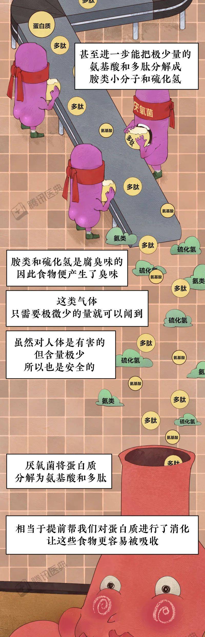 阎玉霞|那些闻起来臭烘烘的食物，为啥那么多人喜欢吃？