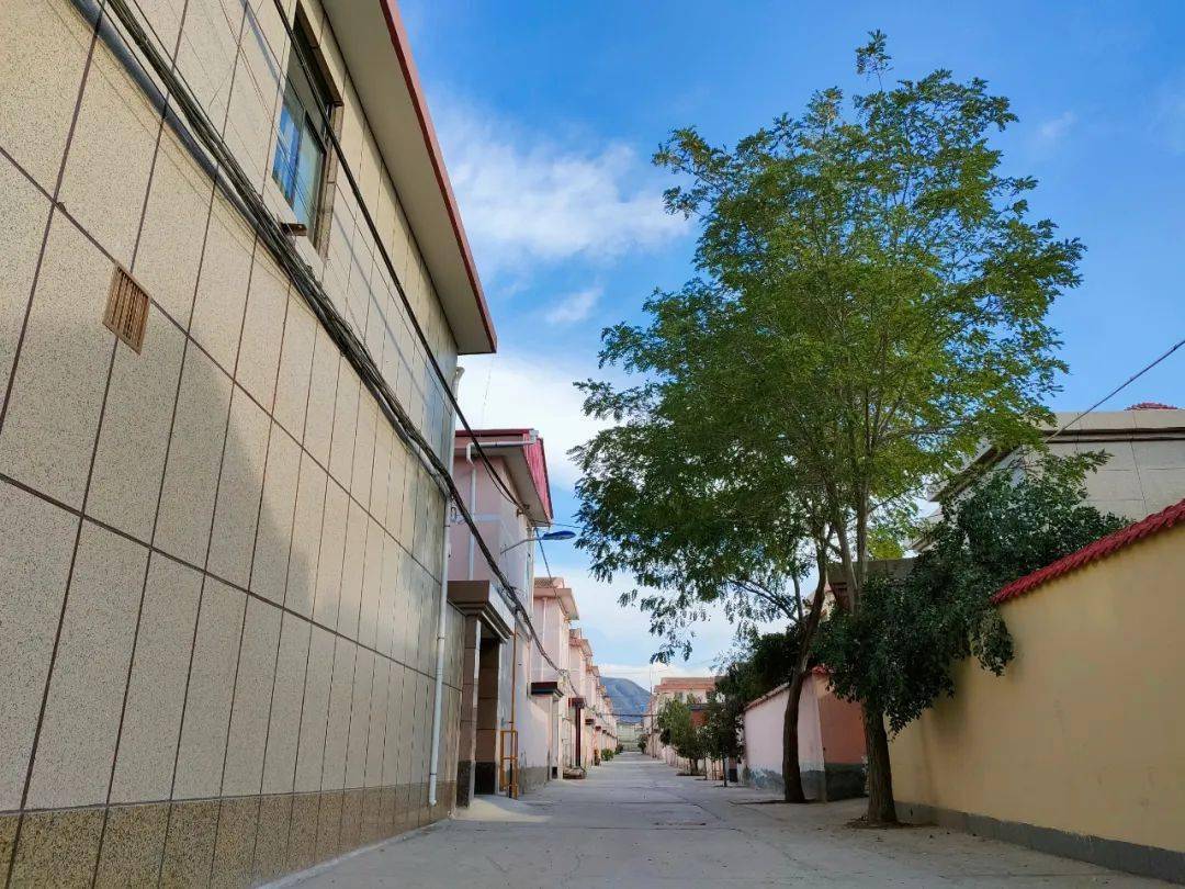 美丽乡村记者行之榆中县水岔沟村冯湾村