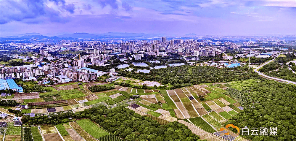 大美白云这里是钟落潭镇