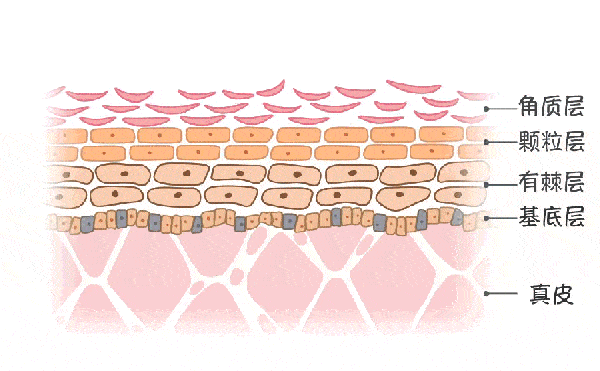 姐妹|女人,打扮自己就是很重要|好物