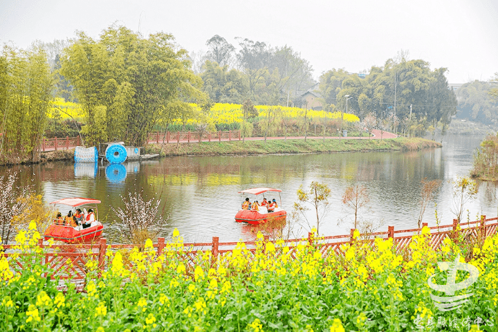 重庆忠县马灌镇图片