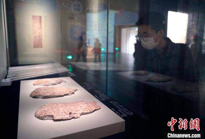 特展|都博物館：三百余文物典藏盡顯中國傳統醫學之魅力