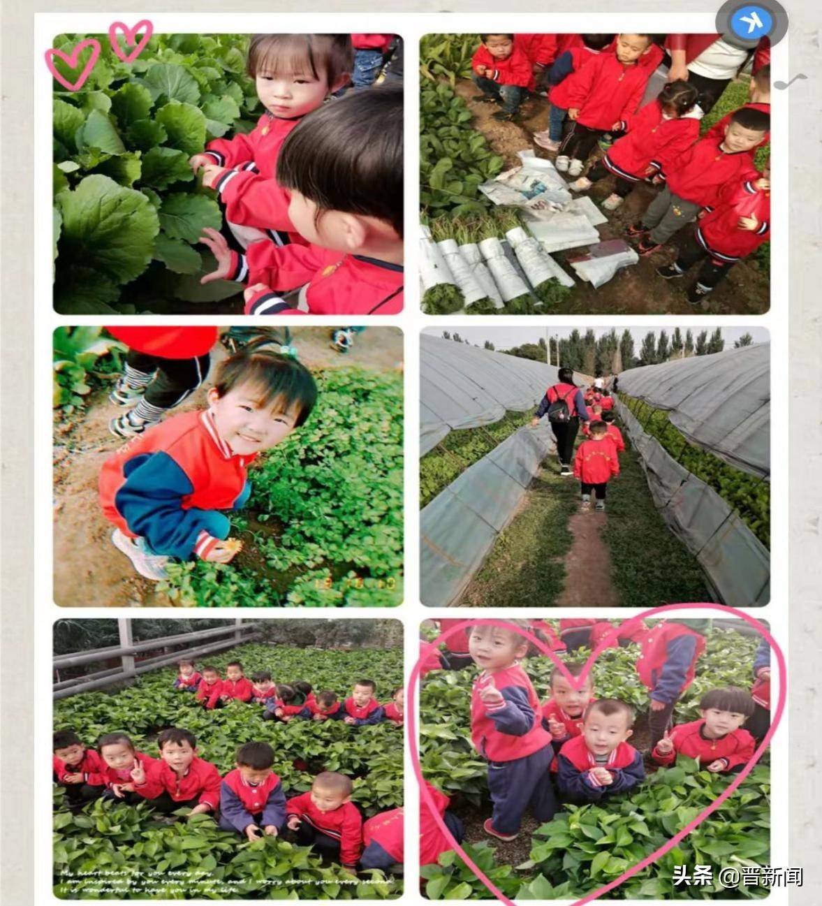 活动|朔州市朔城区育人幼儿园:社会实践活动在幼儿中生根发芽