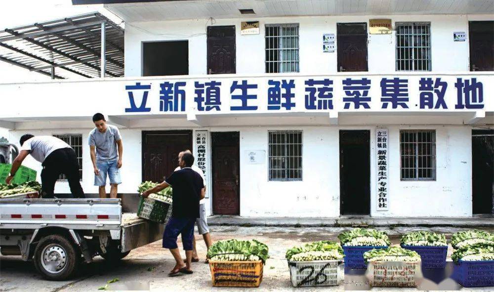 三台县农产品加工:从田间到餐桌的美味旅程