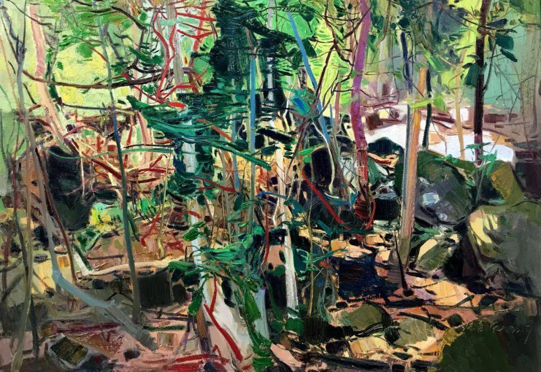 涂启先作品 《菜溪岩》 90cm×130cm 布面油画 2020文虹苏作品 《激流
