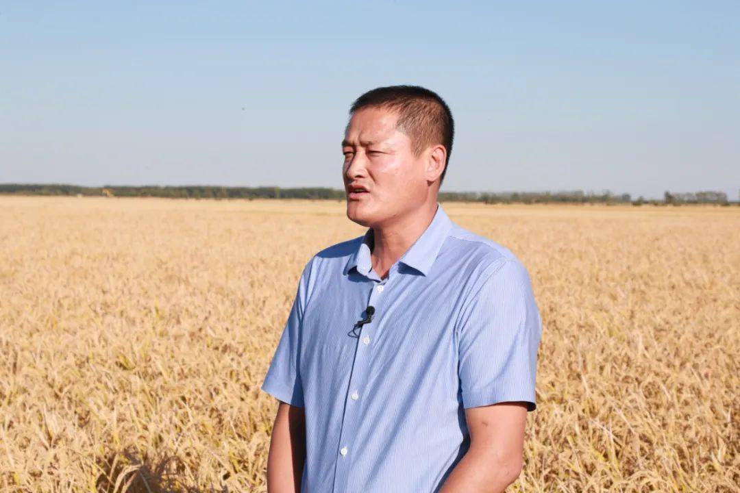 北大荒集团庆丰年视频展播农场场长道丰收三