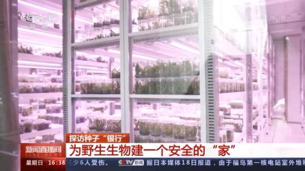 生物|探访种子“银行” 为野生生物建一个安全的“家”