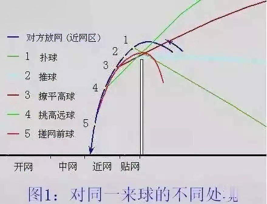 羽毛球甜区击球点图解图片