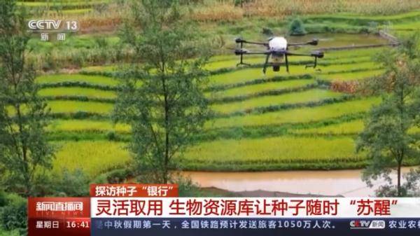 生物|探访种子“银行” 为野生生物建一个安全的“家”