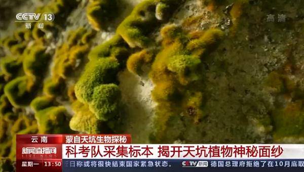 科考队|天坑生物探秘丨去大天坑有点难？走，先去小天坑热个身