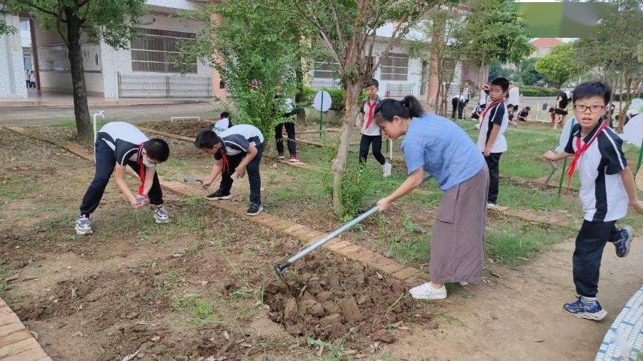 勞動最光榮南沙小學開展校園勞動實踐基地活動