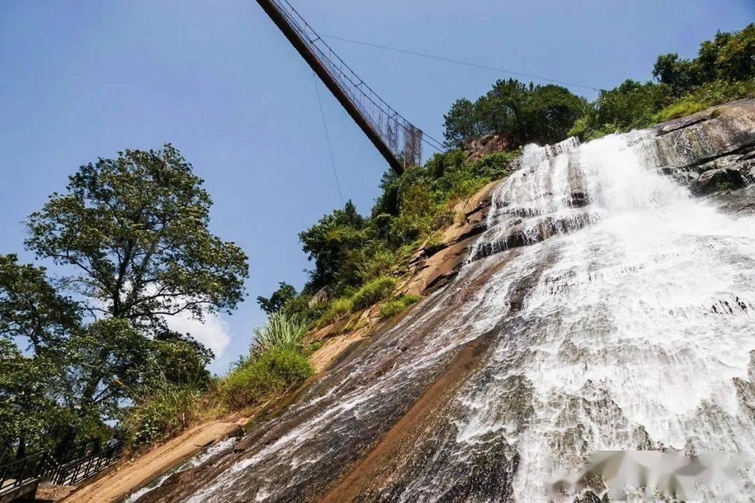 望仙谷的溪水飞瀑