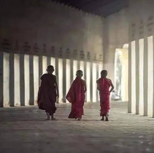 人生三碗面:情面、脸面、场面(精辟!)_大姐