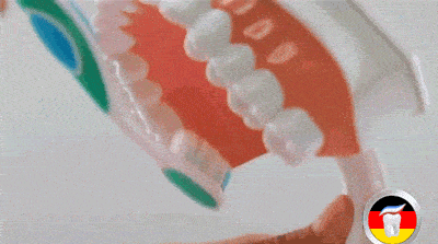 家长|每天刷牙两次的上海成人仅六成，3岁娃近半乳牙都蛀了！护牙宝典收好