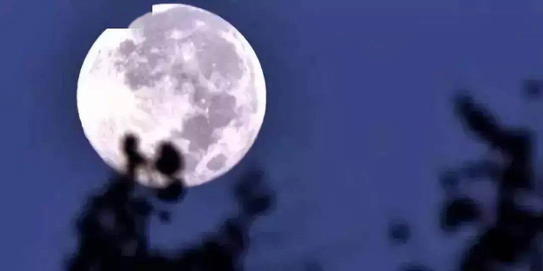 1b2164c999b54389944a8ba9fb33189f.jpeg