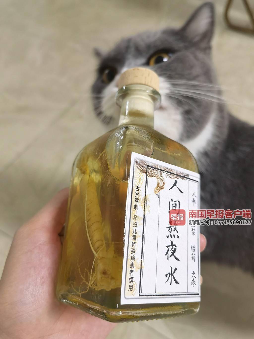 大火的"熬夜水"真的那么神?专家:当真你就输了