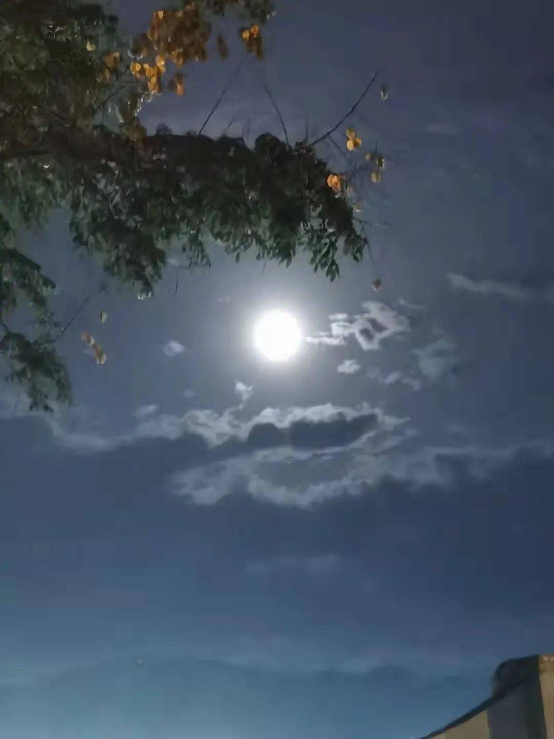 赏月 心声(留言有礼物相送呦~)_月光