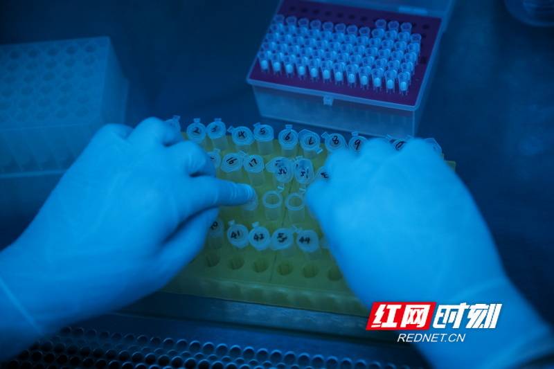疫情|“高新”开拓者｜谭德勇：我想成为一个分子在生物科学的世界里遨游