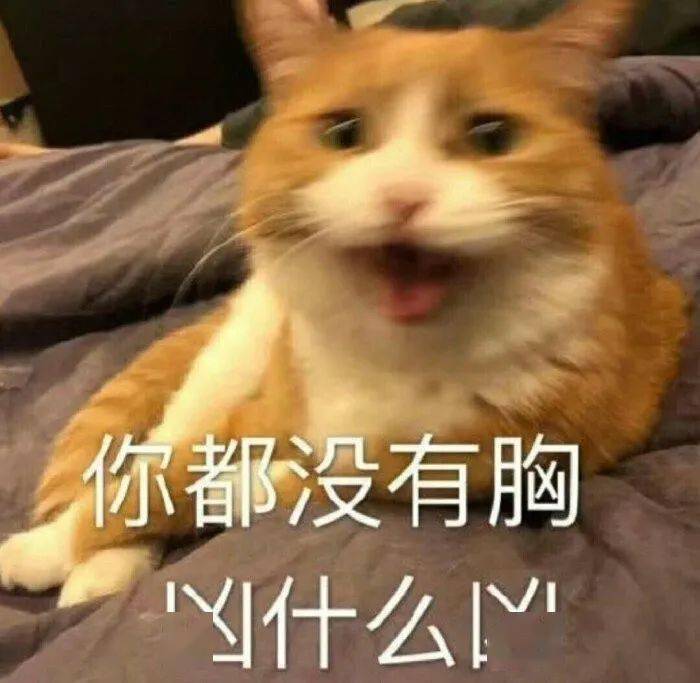 72318166e4e24d02a980e007cd0461e0.jpeg