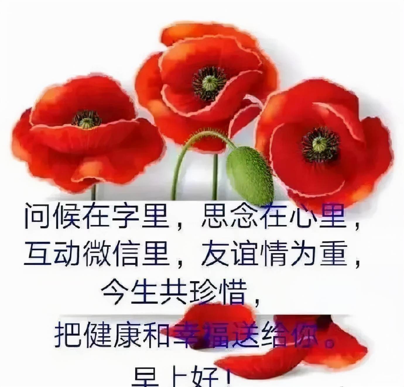 早安吉祥 发出的是思念