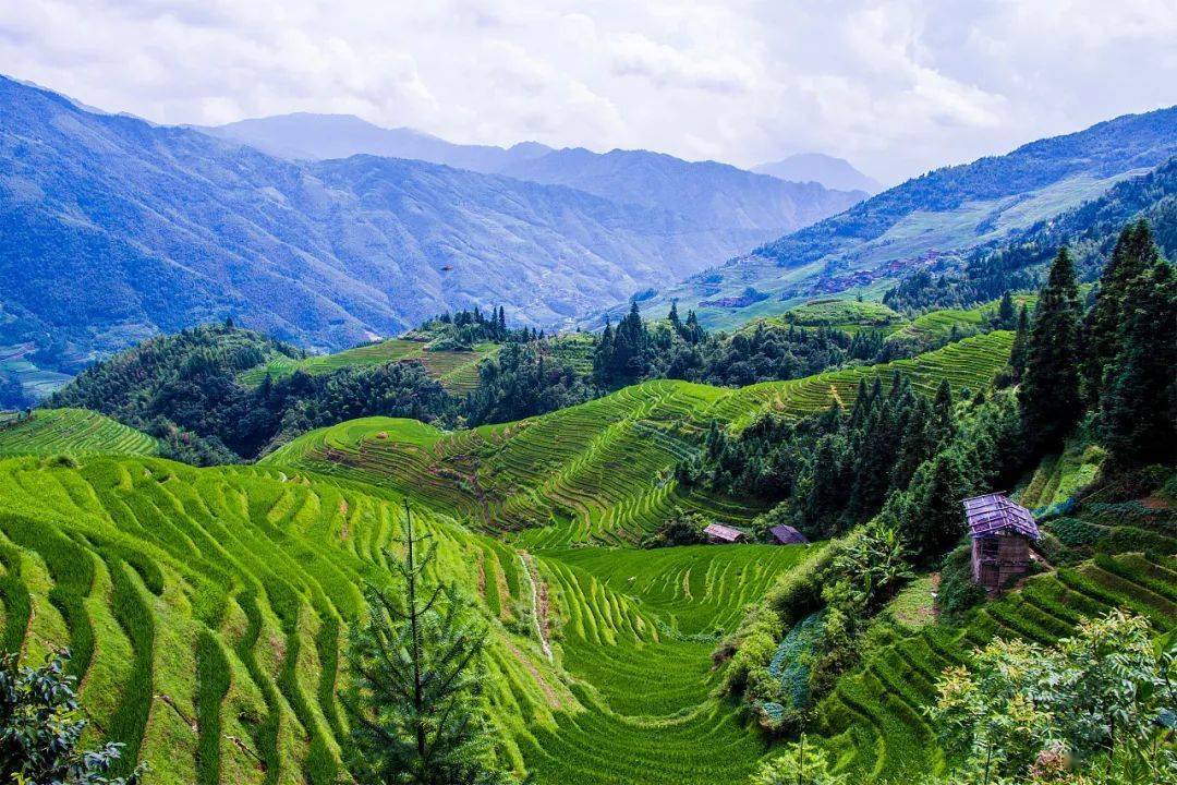 upro-读书笔记——《图说山地 建筑设计》_地形