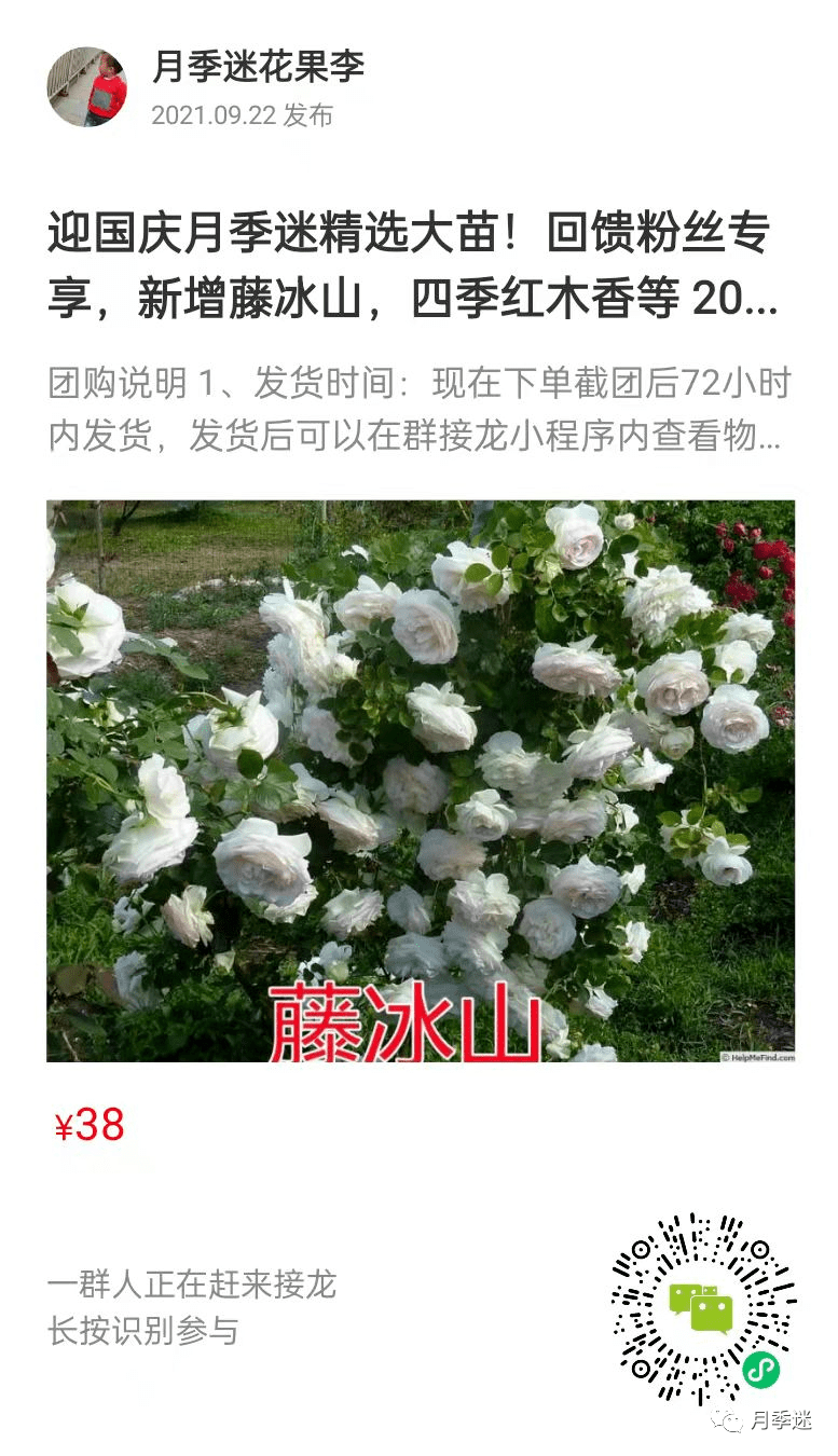 3c0710935bb241d08b71af601ac089b1.png