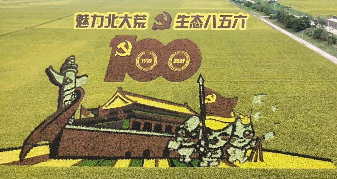 856关注北大荒集团庆丰年视频展播八五六农场党委书记场长李国道丰收