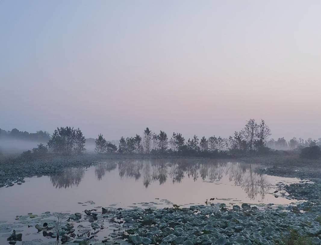 安徽望江县赛口镇兴龙村自然风光绘就美丽乡村画卷