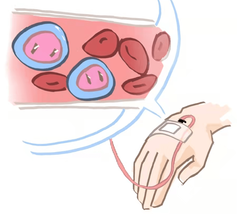 造血干细胞漫画图片