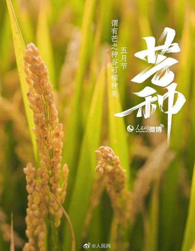 24节气|今日秋分