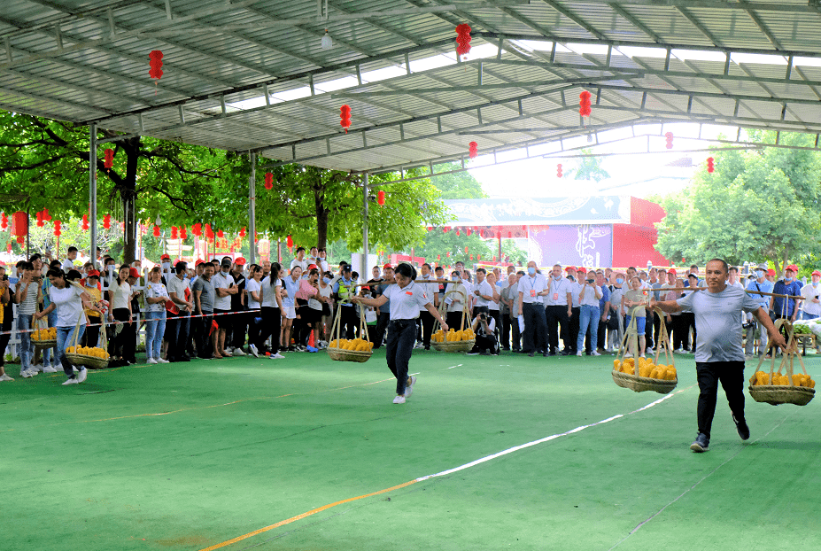 感党恩"活动在武鸣区城厢镇大皇后村康佳龙生态农庄举行