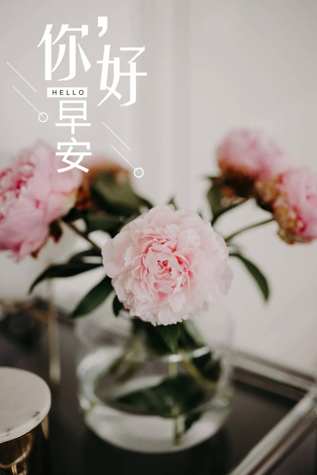 早安励志发朋友圈正能量图片语录晚安治愈温暖心语