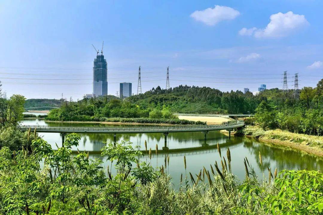 来鹿溪河耍,偶遇两亿年的"仙女虾"