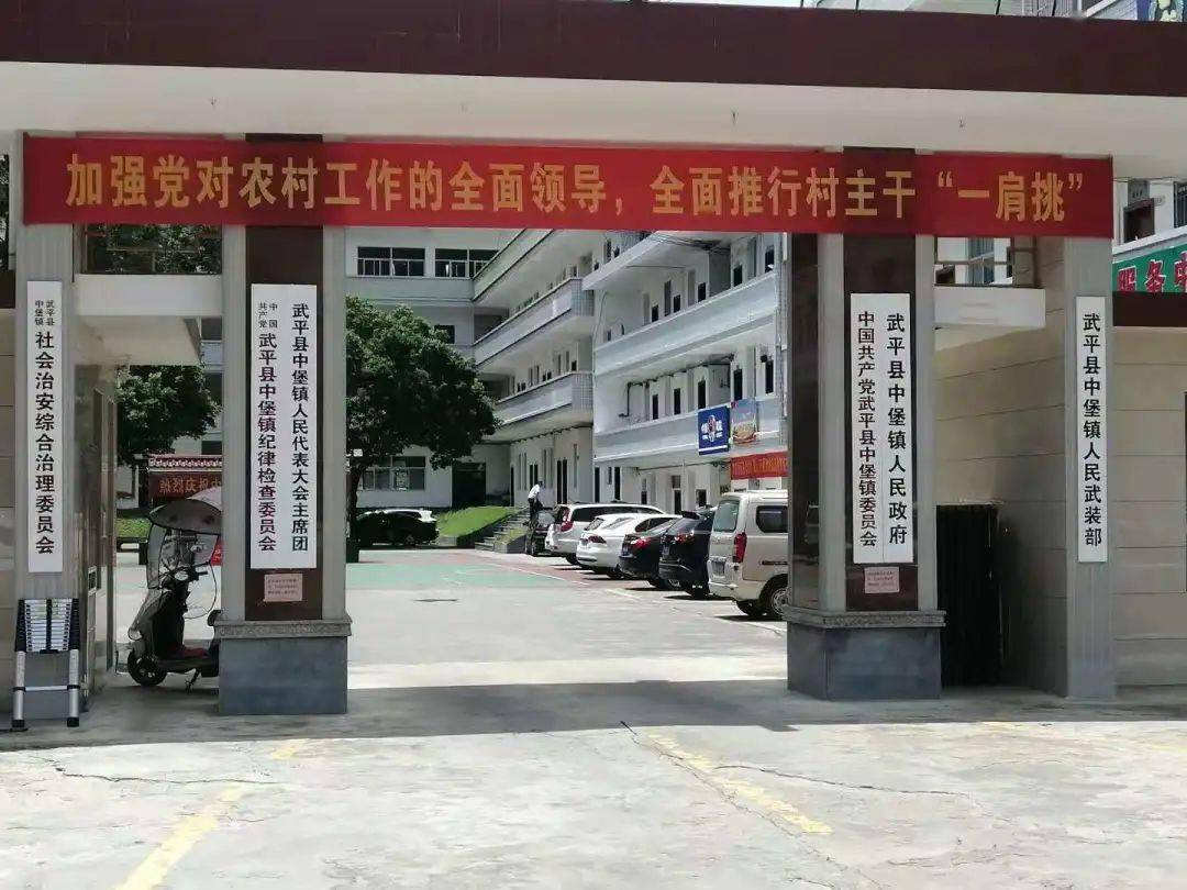 圆满收官中堡镇完成村党组织换届选举工作