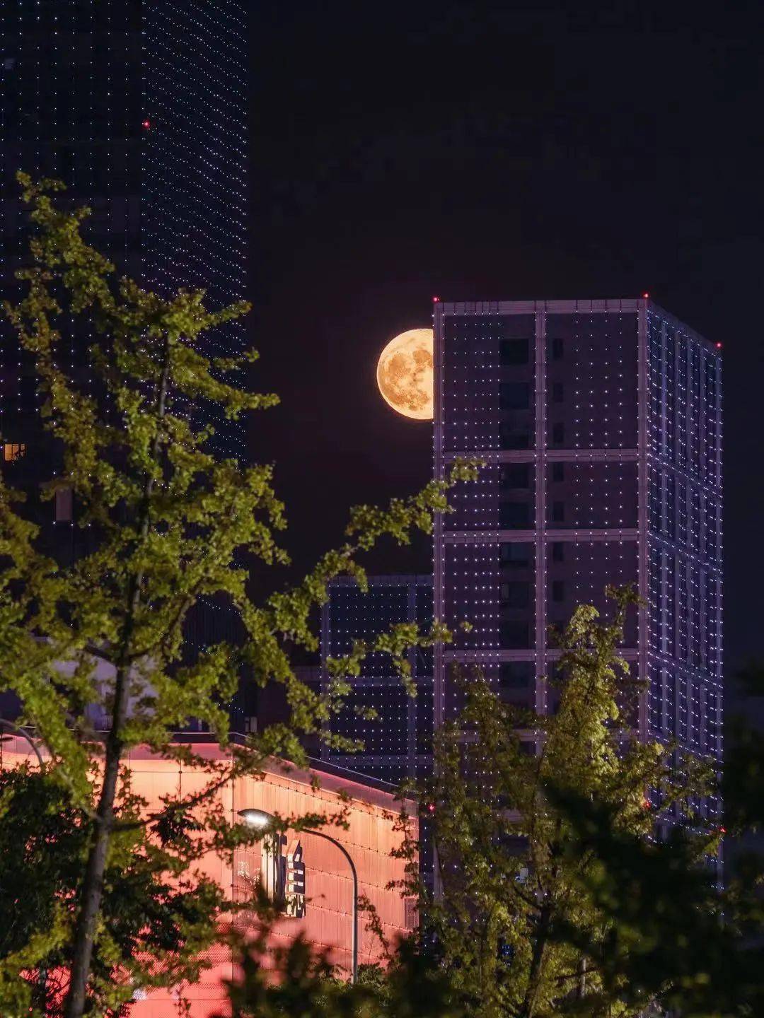 看在东部新城遇见醉美月色